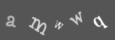 Please type the characters of this captcha image in the input box