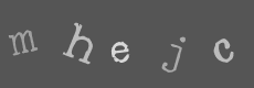 Please type the characters of this captcha image in the input box
