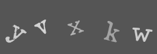 Please type the characters of this captcha image in the input box