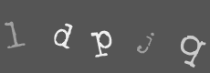 Please type the characters of this captcha image in the input box