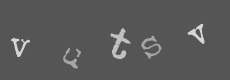 Please type the characters of this captcha image in the input box