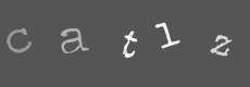 Please type the characters of this captcha image in the input box