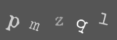 Please type the characters of this captcha image in the input box