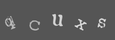 Please type the characters of this captcha image in the input box