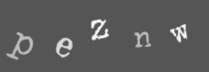 Please type the characters of this captcha image in the input box