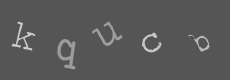 Please type the characters of this captcha image in the input box