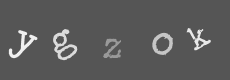 Please type the characters of this captcha image in the input box
