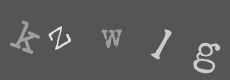 Please type the characters of this captcha image in the input box