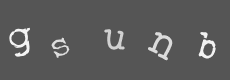 Please type the characters of this captcha image in the input box