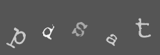 Please type the characters of this captcha image in the input box