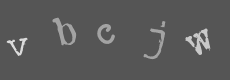 Please type the characters of this captcha image in the input box