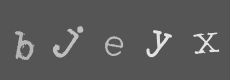Please type the characters of this captcha image in the input box