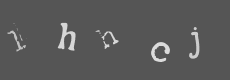 Please type the characters of this captcha image in the input box