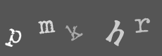 Please type the characters of this captcha image in the input box