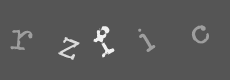 Please type the characters of this captcha image in the input box