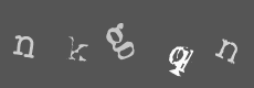Please type the characters of this captcha image in the input box