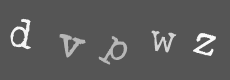 Please type the characters of this captcha image in the input box