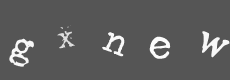 Please type the characters of this captcha image in the input box