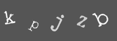 Please type the characters of this captcha image in the input box