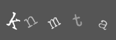 Please type the characters of this captcha image in the input box