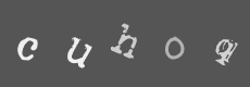 Please type the characters of this captcha image in the input box