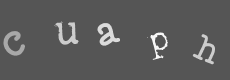 Please type the characters of this captcha image in the input box