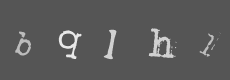 Please type the characters of this captcha image in the input box