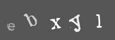 Please type the characters of this captcha image in the input box
