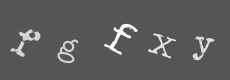 Please type the characters of this captcha image in the input box