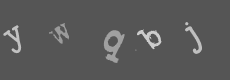 Please type the characters of this captcha image in the input box