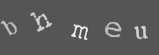 Please type the characters of this captcha image in the input box