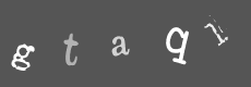 Please type the characters of this captcha image in the input box