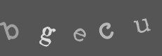 Please type the characters of this captcha image in the input box