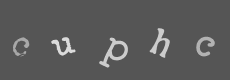 Please type the characters of this captcha image in the input box