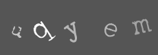 Please type the characters of this captcha image in the input box