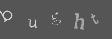 Please type the characters of this captcha image in the input box