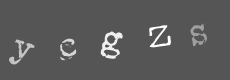 Please type the characters of this captcha image in the input box