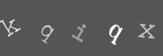 Please type the characters of this captcha image in the input box