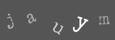Please type the characters of this captcha image in the input box