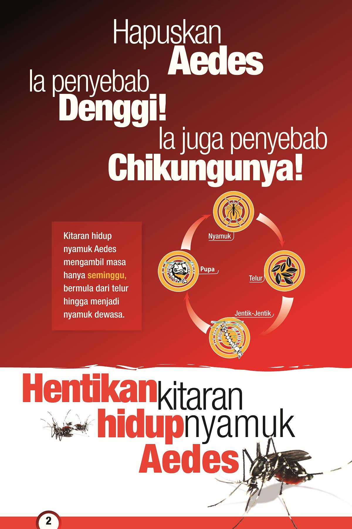 Tempat Pembiakan Nyamuk Aedes – Bahagian Pendidikan KKM # 