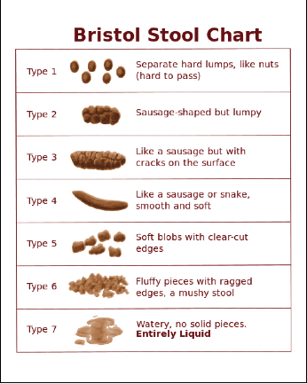 Bristol stool chart