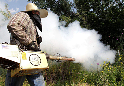 7 Reasons Why Fogging Will Not Kill The Mosquitoes # 
