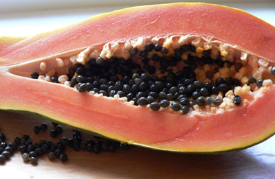 papaya