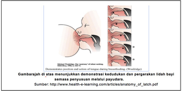 dental