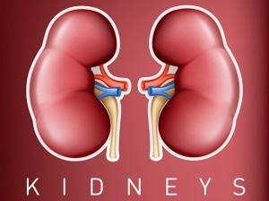 2015-01-29-WorldKidneyDay