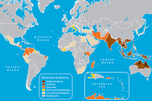 map3-12-endemicity-melioidosis-infection-large