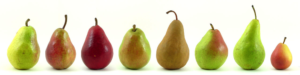 pears