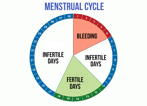 https://www.mmgazette.com/wp-content/uploads/2018/01/menstrual-cycle.jpg